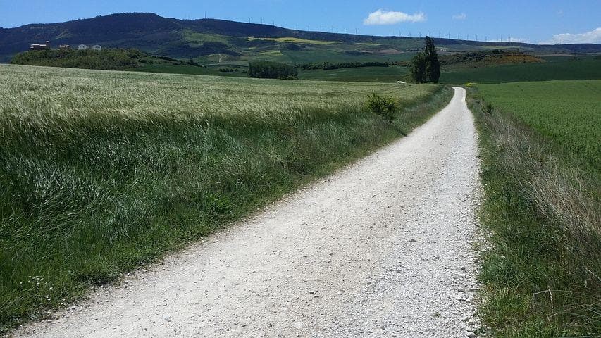 EL CAMINO DE SANTIAGO